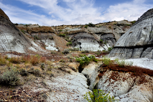 crevices and rock formations